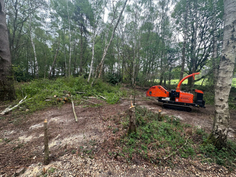 Woodland Management Services by Tree Marshalls